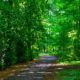Pathways to change
