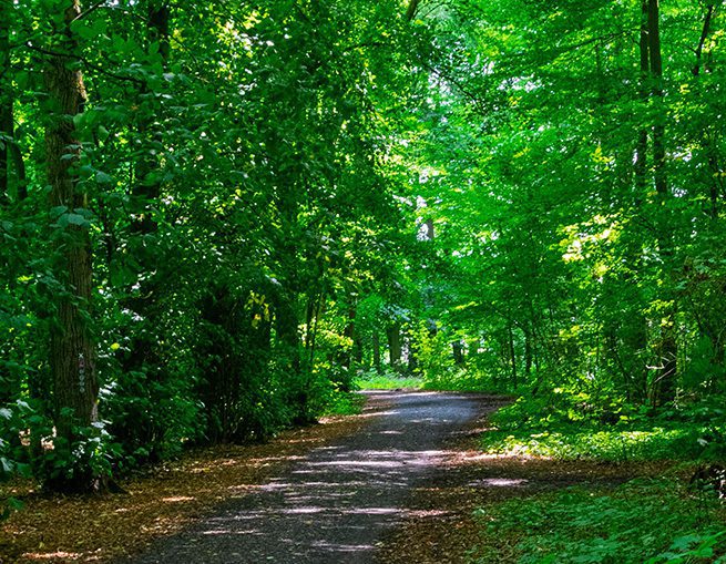 Pathways to change